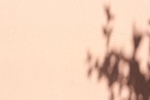 Light pink background with shadows Stock Photos