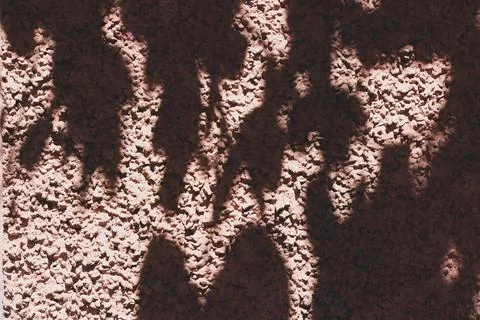 Light pink background with shadows Stock Photos