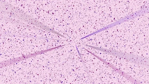 Light pink background with violet rays and flying particles Stock Footage 106612044