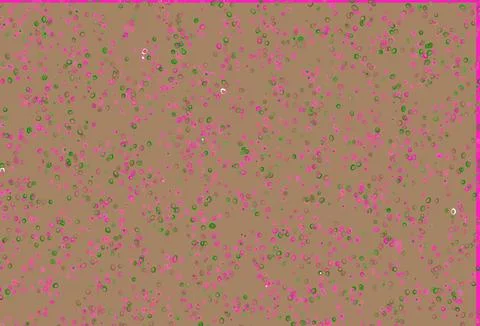Light Pink, Green vector background with bubbles. Illustrazione stock