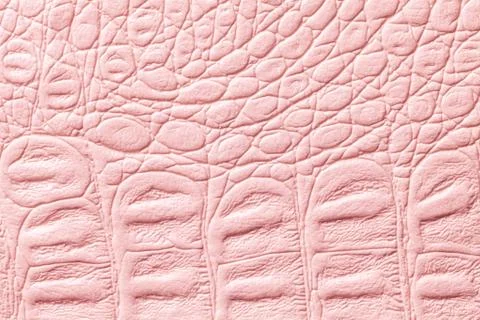 Light pink leather texture background, closeup. Reptile skin, macro. Photos