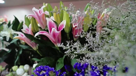 Light Pink Lily Flower Stock Footage 320958730