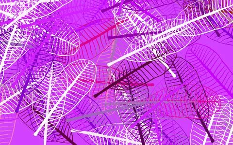 Light Pink, Red vector elegant pattern with leaves. 스톡 일러스트