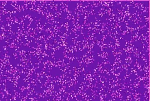 Light Pink vector background with bubbles. Stock Illustration