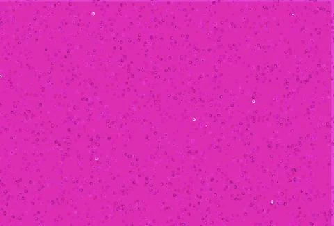 Light Pink vector cover with spots. Stock Illustration