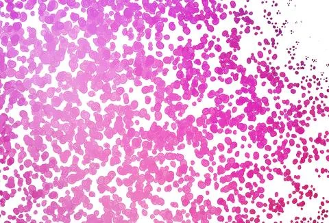 Light Pink vector pattern with liquid shapes. 스톡 일러스트