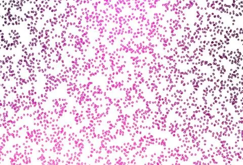 Light Pink vector pattern with spheres. Illustrazione stock