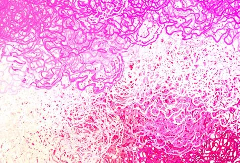 Light Pink, Yellow vector pattern with spheres, lines. Stock Illustration