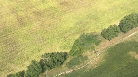 Light plane shadow Stock-Footage 160477896