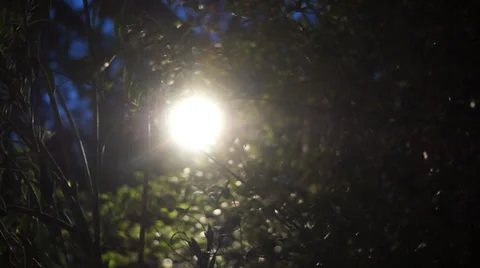 Light in the plans. Stock Footage 26806928