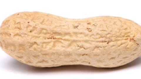A light pod of peanuts Stock-Fotos