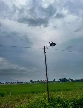 Light pole featuring a green rice field Stock Photos