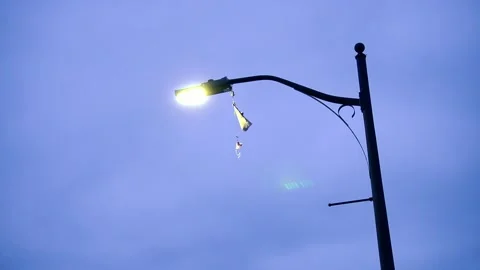 Light pole Stock Footage 166980069