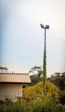 Light pole Foto stock