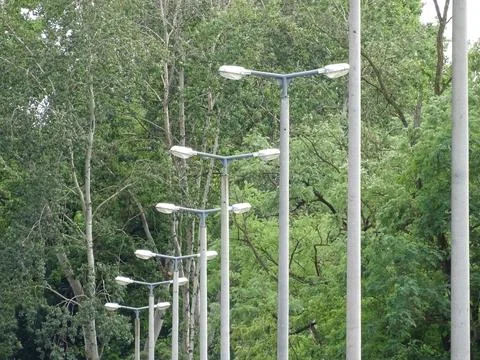 Light poles and trees in the background Фото