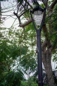 Light poles Stock Photos