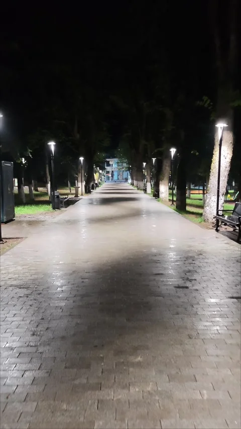Light pollution increasing in an empty alley of a park at night 库存影片 307495645