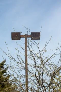 Light post and trees against a blue sky Foto stock