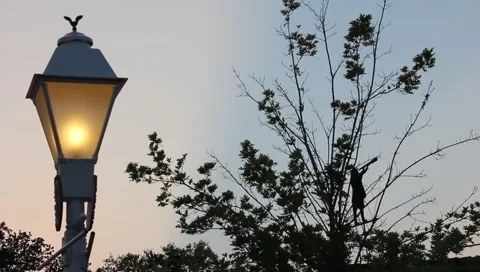 Light Post Man with Telescope 動画素材 6929694