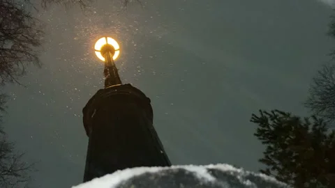 Light post in snow storm  Stock Footage 201117596