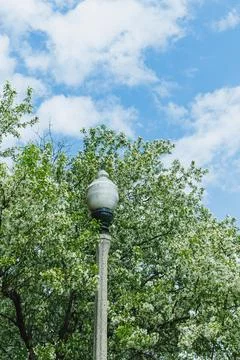 Light post stands among blooming trees under blue sky with clouds during sp.. Stock Photos