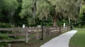 light posts spanish moss oak tree sidewalk cemetery HD 동영상