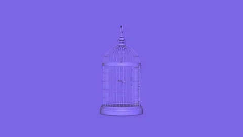 Light Purple Birdcages Vídeos de archivo 145763540