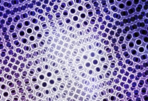 Light Purple vector backdrop with dots. 스톡 일러스트