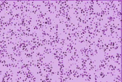 Light Purple vector background with bubbles. Stock Illustration