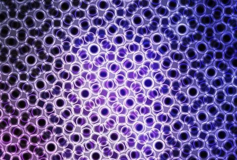 Light Purple vector background with bubbles. Illustrazione stock