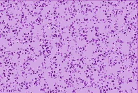 Light Purple vector cover with spots. 스톡 일러스트