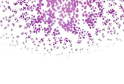 Light Purple vector pattern with curved circles. 스톡 일러스트