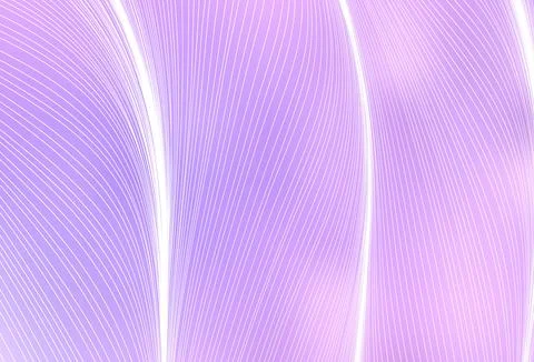 Light Purple vector template with curved lines. Stock Illustration