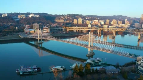 Light Rail Train and Bus Passing over the Tilikum Crossing Bridge Stock Footage 147342456