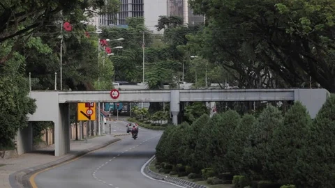 A light rail transit crossing over the road Stock Footage 71194313