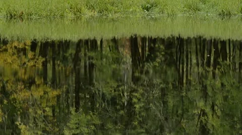 Light Rain and Reflections Stock Footage 12310419