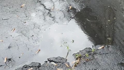 Light rain on asphalt Stock Footage 109180658