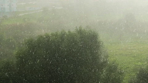 Light Rain on a Background of Trees and Field Stock Footage 46446455
