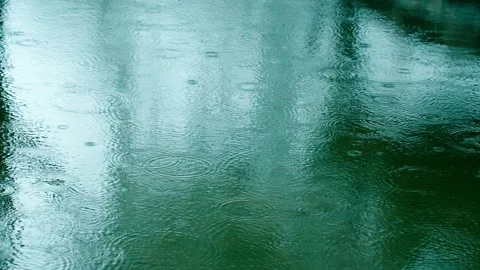 Light rain in early spring - raindrops on the pond surface Stock Footage 257056704