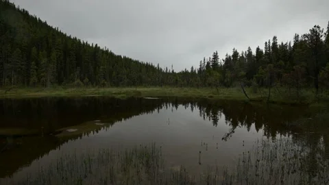 Light rain falling into a dark, mountain pond Stock Footage 135251113