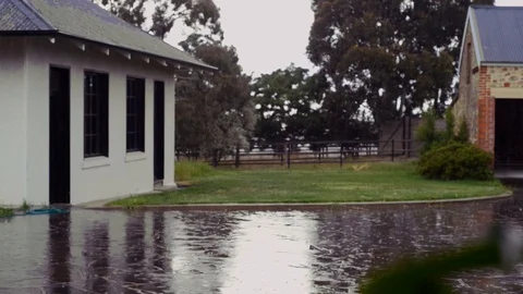 Light rain falling in front of buildings Stock Footage 94097186