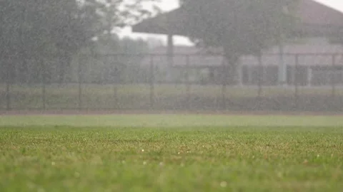 Light Rain Falling on Green Grass Field, Soft Rainy Weather Background Video stock 308075239