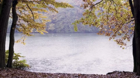 Light rain falling at Maksimir park lake, Zagreb, Croatia. Stock Footage 145966594