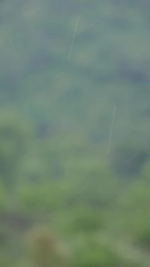 Light rain falling over a blurred green jungle hillside with soft rain streaks a Video stock 341806743