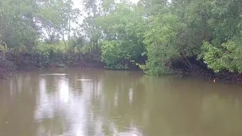 Light Rain Falling on Tranquil Pond Surrounded by Green Trees Vietnam Vídeos de archivo 337155072