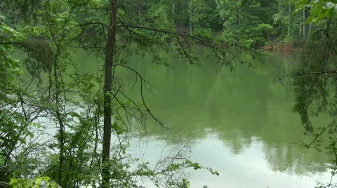 Light rain on the lake Stock Footage 488139