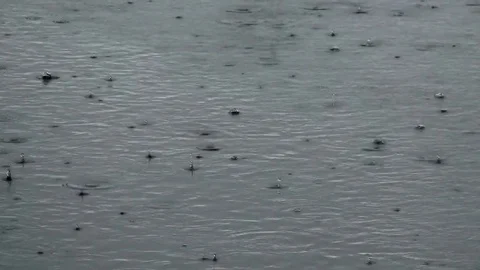  Light rain in the lake Stock Footage 84967466