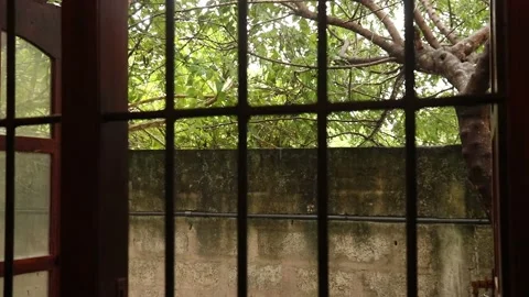 Light rain look home window Vídeos de archivo 219399218