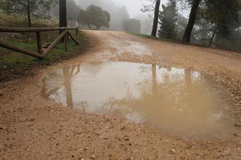 Light rain on a puddle on the access road Photos