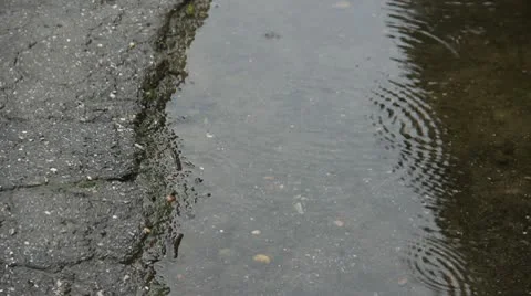 Light rain on a puddle surface 库存影片 10750070